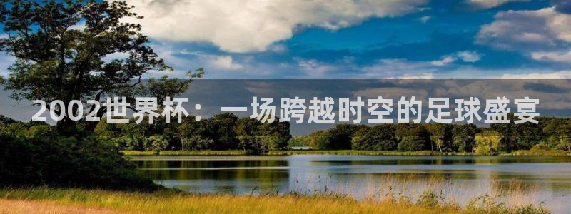 2026年世界杯直播平台:2002世界杯:一场跨越时空的足球盛宴