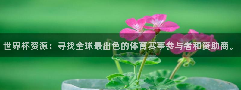 2026世界杯直播免费观看:世界杯资源:寻找全球最出色的体育赛事参与者和赞助商。