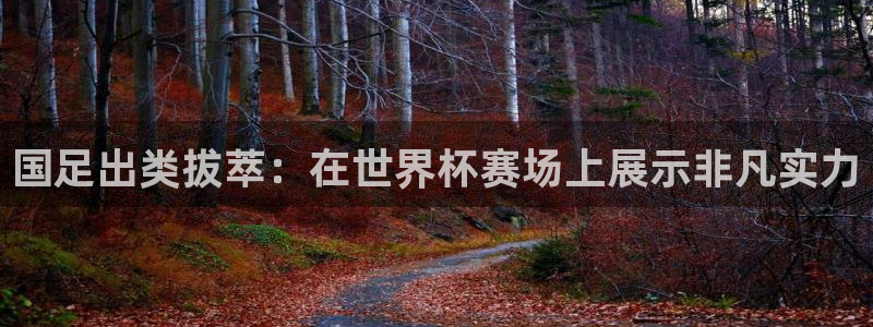 预选赛世界杯:国足出类拔萃:在世界杯赛场上展示非凡实力