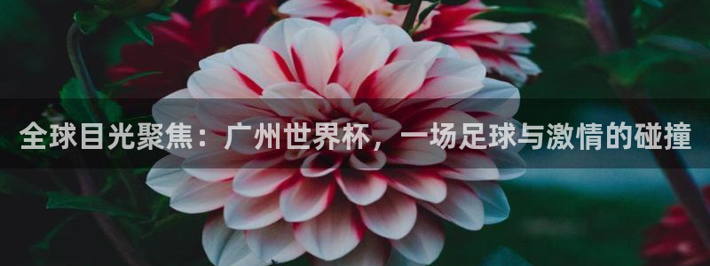 世界杯2026赛制:全球目光聚焦:广州世界杯,一场足球与激情的碰撞