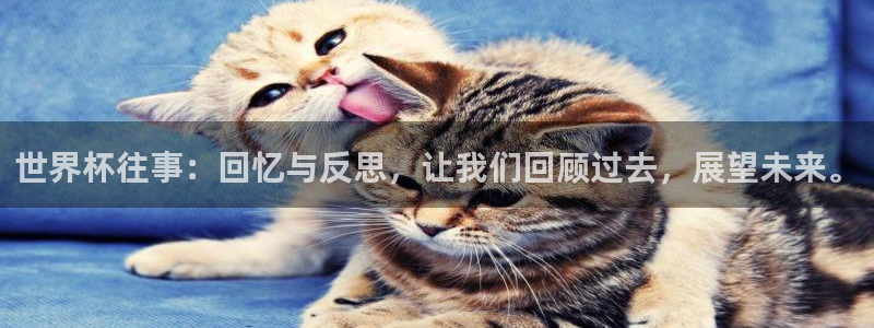 世界杯赛程2026:世界杯往事:回忆与反思,让我们回顾过去,展望未来。